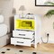 White LED Nightstand Bedside Table with USB Type-C Outlets 2 Drawers & Shelf